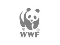 Silk Road China tours